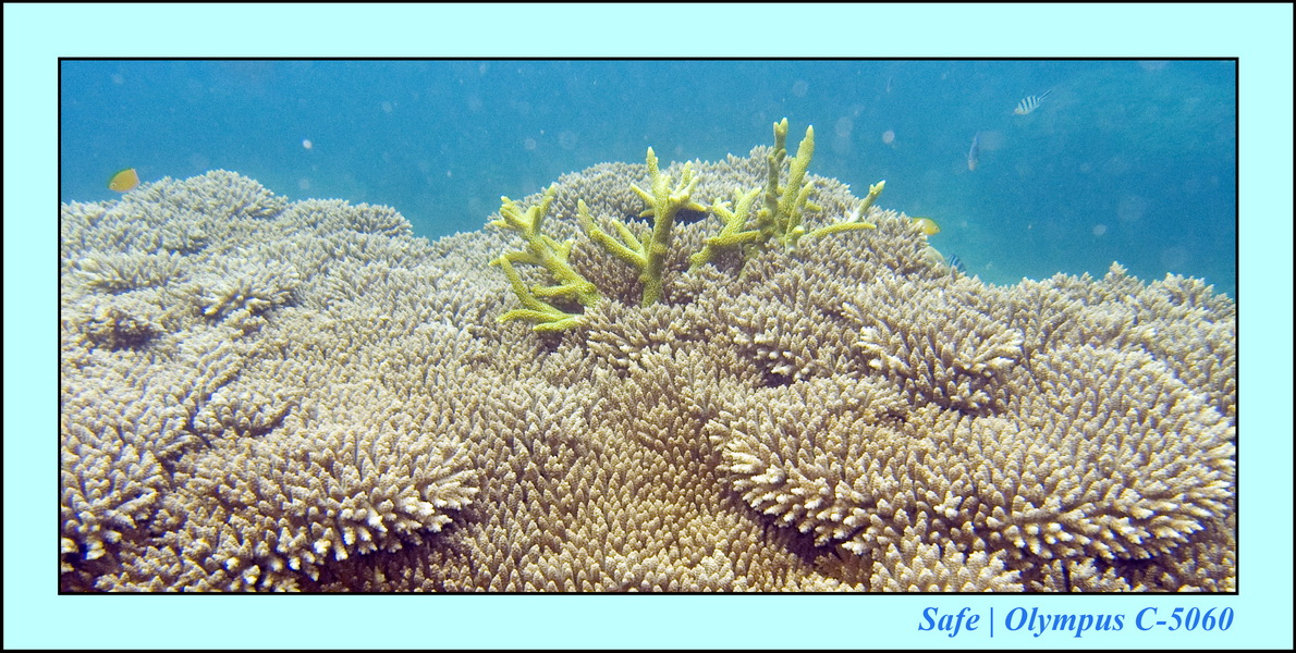 2008 - 07 - Perhentian - 011